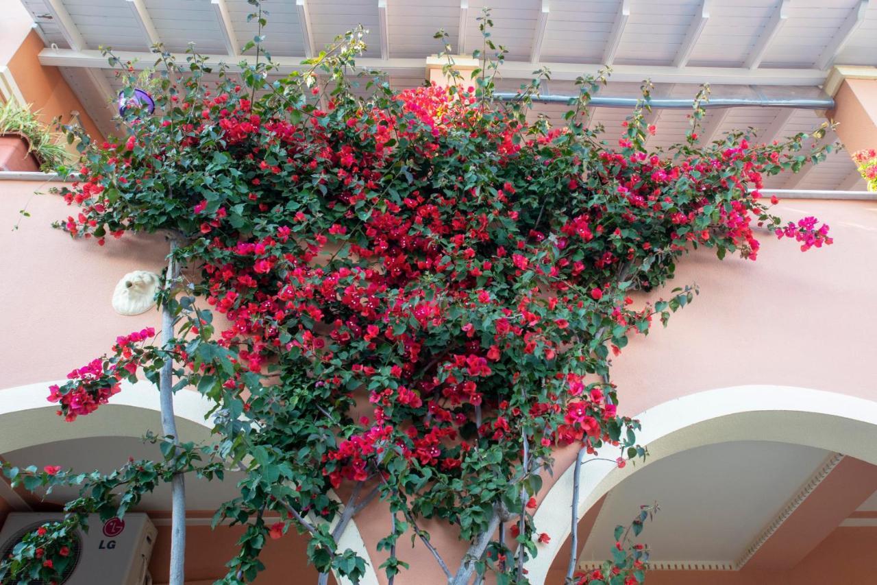 The Red Bougainvillea Apartments Kanálion Extérieur photo